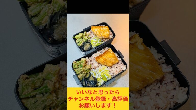 副菜たっぷり！メカジキの照り焼き弁当🐟 #お弁当動画 #作り置き弁当 #お弁当おかず #food #お弁当詰め方 #副菜
