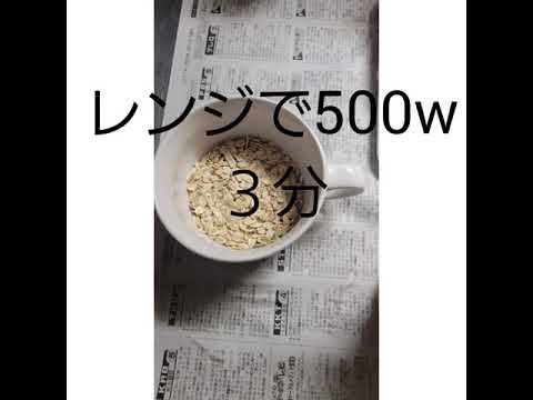 卵オートミール