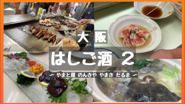 大阪 はしご酒【おでん#すっぽん鍋#ホルモン串#肝串#どて焼き#串揚げ】