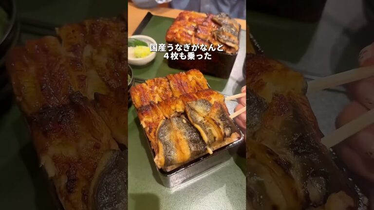 《デカ盛りすぎるうな重》