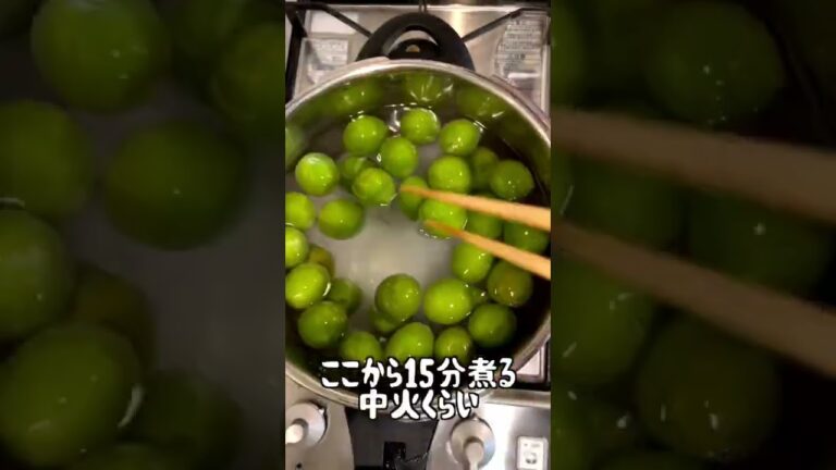 1日で完成！梅ジュースの簡単な作り方！