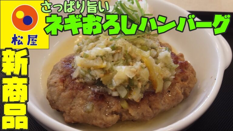 新商品！特製万能ネギダレがさっぱり旨い！ネギおろしハンバーグ【昼めしジプシー】松屋