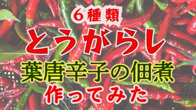 【とうがらし】６種類の唐辛子植えて＃葉唐辛子の佃煮　作ってみた