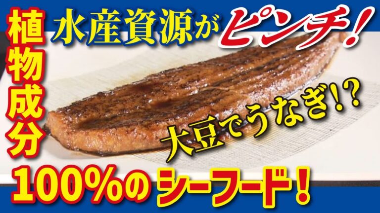 【代替シーフード（LBS名古屋）】大豆からうなぎを再現！代替食品の進化