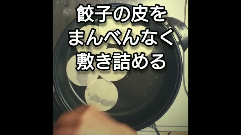 ホットプレートで包まない餃子を作る