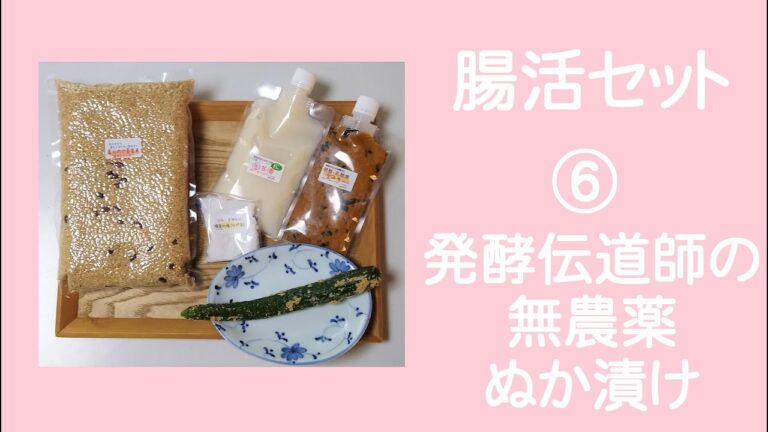 腸活セット⑥発酵伝道師の無農薬ぬか漬け