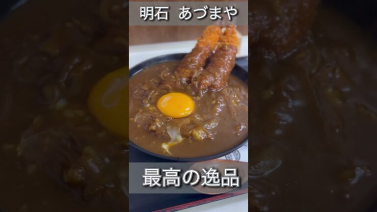 【明石】あづまや名物！海老カレー丼を食べてきた！ #shorts