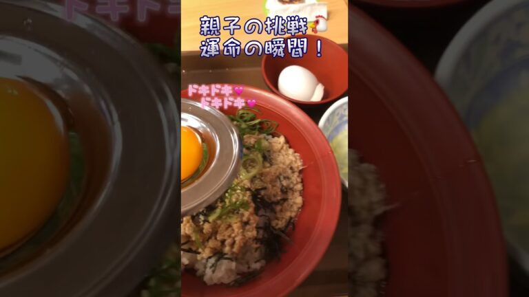 #すき家 #鶏そぼろ丼 #shorts #緊張 #瞬間 すき家鶏そぼろ丼を華麗に頂く