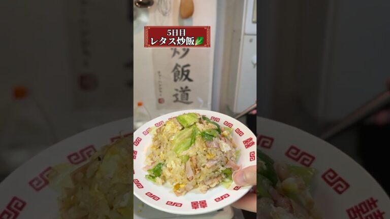 【5日目レタスチャーハン】100日後にパラパラなチャーハンを作る人 #チャーハン #friedrice #中華料理 #焼き飯 #炒飯