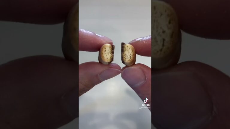 アスパラガスビスケット買ってみた！【Tiktok】
