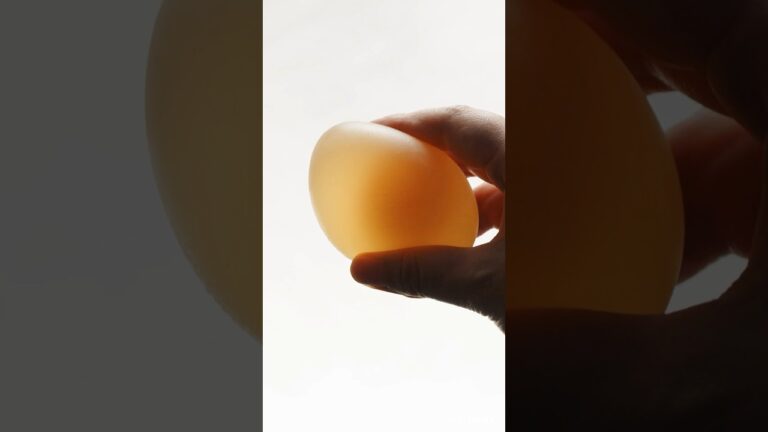 ぽよんと跳ねる生卵の作り方🥚 #shorts #自由研究 #夏休み #生卵 #実験