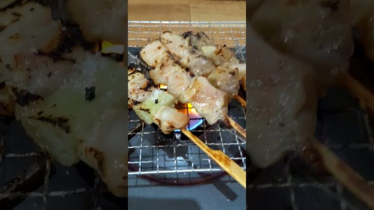 焼き鳥ねぎま塩タレ🍺🐱