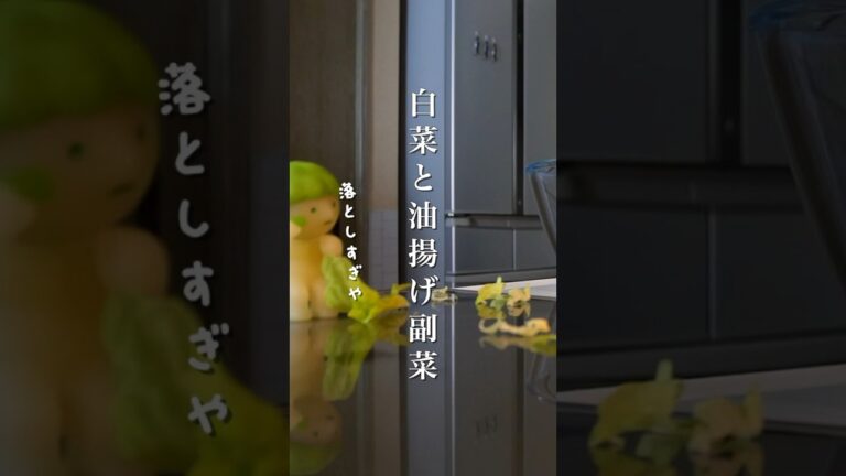 副菜が決まらない時に！白菜と油揚げの簡単副菜レシピ　#レンチンレシピ