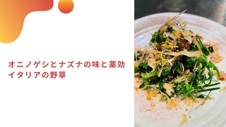 野草を食す　オニノゲシとナズナの味と薬効　イタリアの野草　イタリア料理教室　東京都小平市