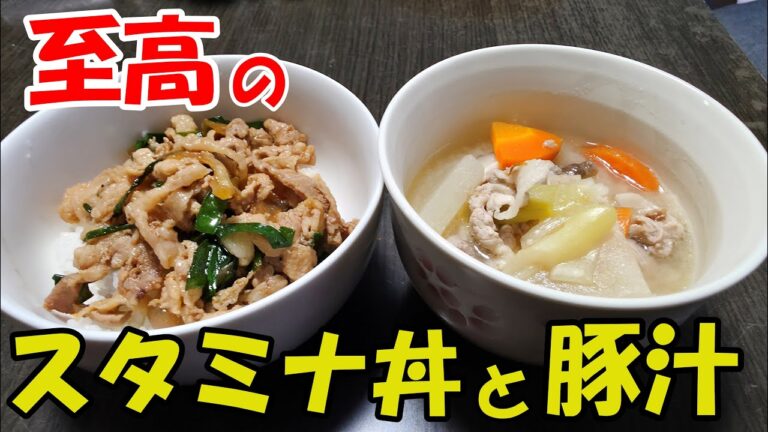 【王道の豚汁】しょうが香る栄養たっぷり中毒豚汁 とスタミナ丼