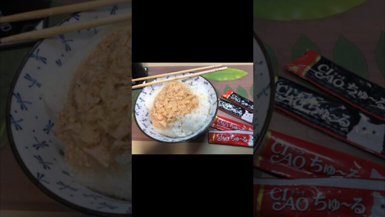 【ツナマヨ丼！？】2ちゃんねるの迷言が面白すぎたwww【アフレコ】
