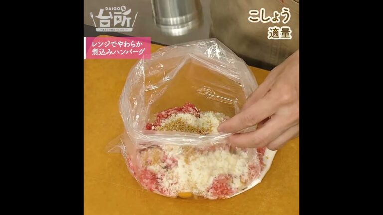 【DAIGOも台所】レンジでやわらか煮込みハンバーグ｜レストラン級の味♪