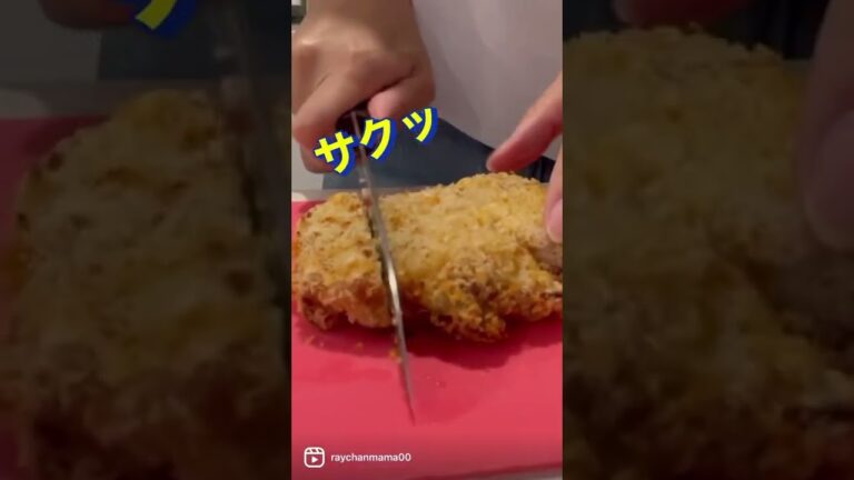 3年迷ってやっと購入したノンフライヤーでトンカツを作った結果