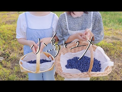 【北海道農家のスローライフvol.10】おうちの裏でハスカップ狩り/トマト農家の手作りミートソース/家族で食べる美味しいトマト料理/6月.7月総集編