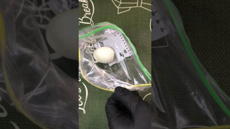 とんこつ煮玉子　【バトルキッチン.55（2022.12.11)】