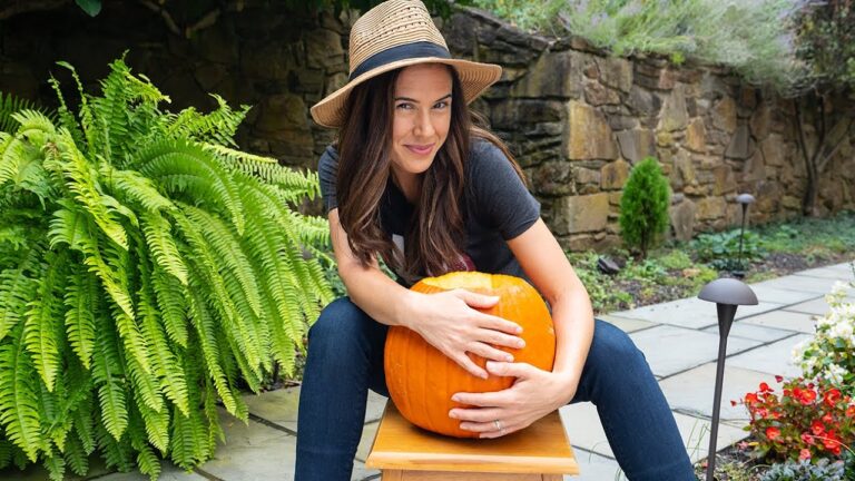 カボチャについて誰も教えてくれない5つのこと🎃