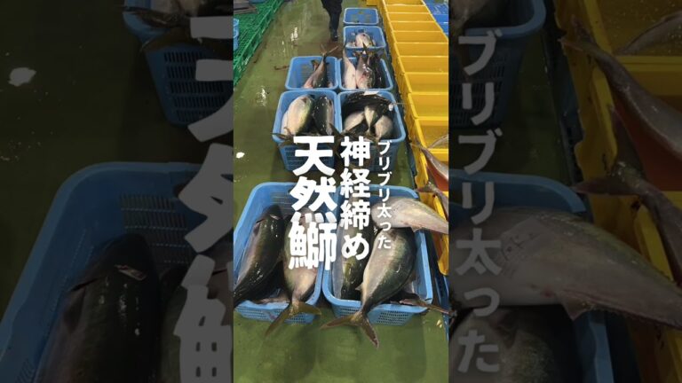 鮮魚イルキャンティ