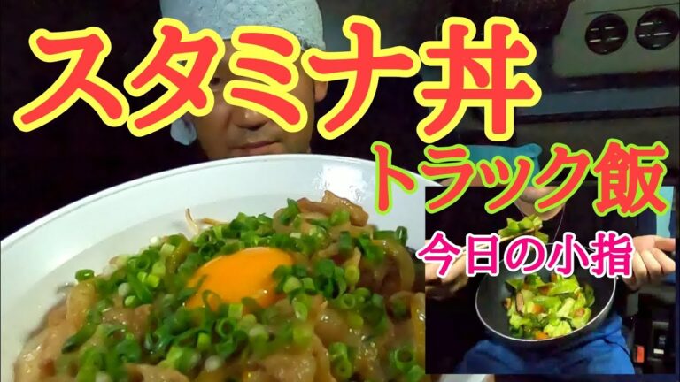 【大型トラック車中飯】匂い大丈夫？にんにくアリ絶品スタミナ丼作ってみた🍚野菜炒めも同時に作ったよ🙌【長距離大型トラック】ひげちゃん