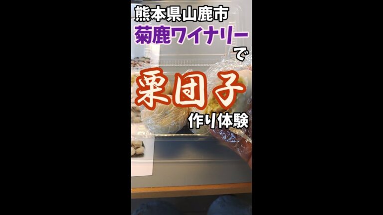 熊本県山鹿市の菊鹿ワイナリーのイベント(収穫祭2022)で栗団子(栗だけ団子)作りを体験しました　#Shorts