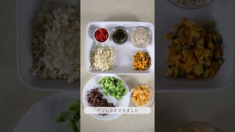 【手作り犬ごはん】牛ももとオートミール／手作り犬ごはんのレシピや関連情報を中心に紹介していきます。グッドボタン、コメント、チャンネル登録よろしくお願いします #犬 #犬ごはん #ドッグフード