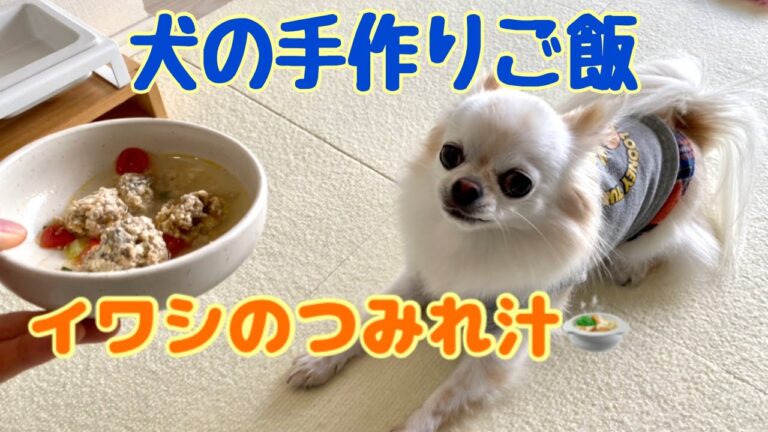 【犬の手作りご飯】イワシのつみれ汁 〜アトピーで悩むワンちゃんにも〜　#29