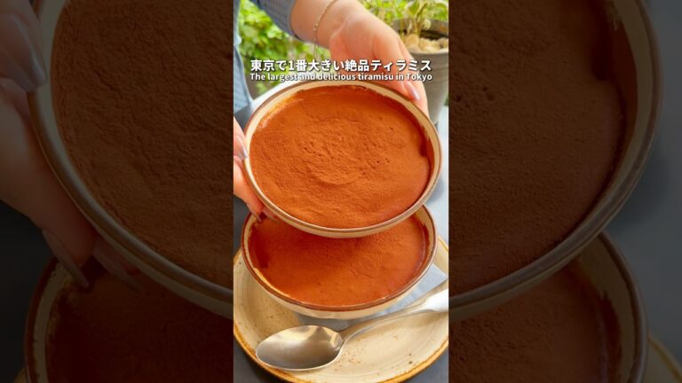 東京で1番大きい絶品ティラミス！ #東京グルメ #japanesefood