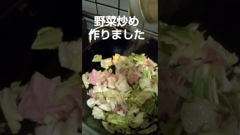 【夫婦の日常】野菜炒め、作りました、簡単料理、弁当屋、夫婦vlog、｜lunchbox Japanese bento、｜Japan food