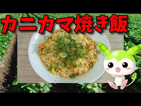 【VOICEVOX ずんだもん】  カニカマと卵と葱を使った「焼き飯」を作るのだ!!