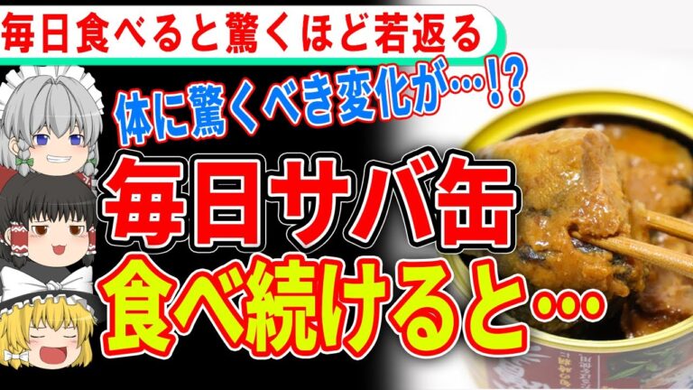 【ゆっくり解説】サバ缶食べ続けると体はどうなる…？サバ缶の驚きの効果がヤバすぎる…