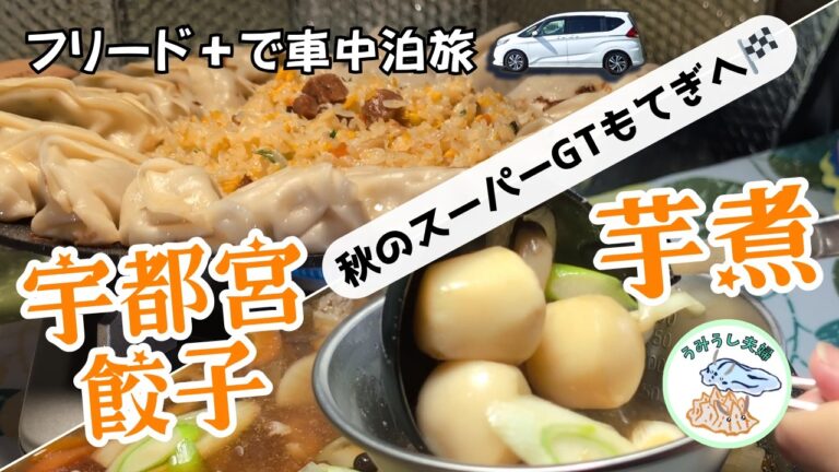 【フリード+で車中泊】栃木ご当地グルメと芋煮でほっこり夫婦旅│秋のスーパーGTもてぎ