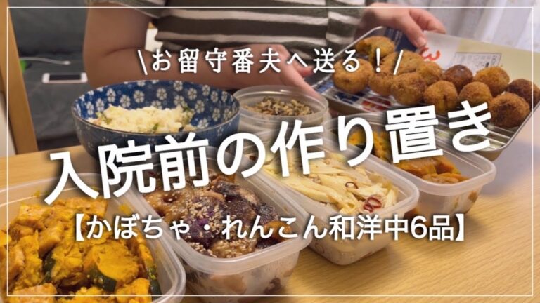 【和洋中作り置き】夫が喜ぶ簡単ヘルシーおかず6品|里帰り前の冷蔵庫整理【臨月妊婦】