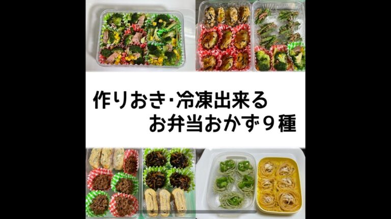 【料理】作りおき･冷凍出来るお弁当おかず9種🍱