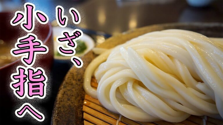 【うどん家一】上品な…讃岐うどん？でも肉汁ってことは、武蔵野うどん…？そんなのどっちでも構わねえ！とにかくうまいんだーー！！〈所沢市〉【埼玉うどん子TV第42回】