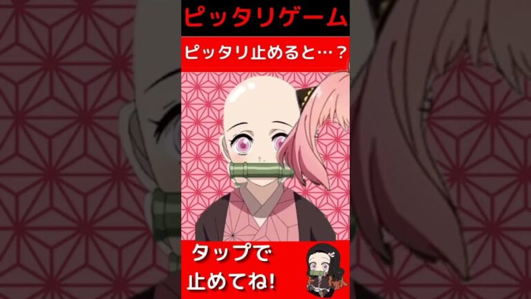 【アニメ/ねずこ/アーニャ】のズラをねずこでピッタリ止めると…?#shorts 【#鬼滅の刃/きめつのやいば】#アーニャ【SPY×FAMILY】