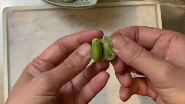 そら豆（うす皮）の剥き方　難易度：★