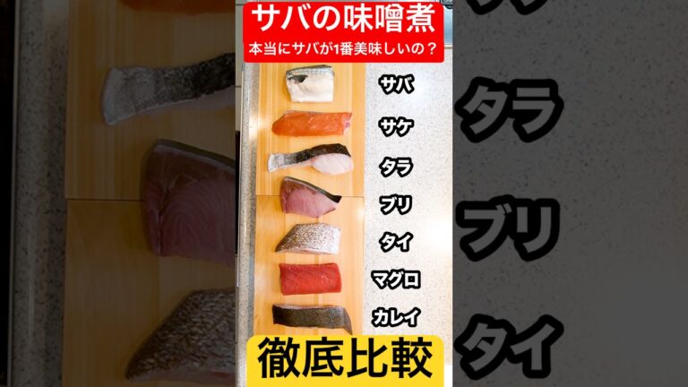 【徹底比較】サバの味噌煮って本当にサバが1番美味しいの？色んな魚で『〇〇の味噌煮』を同時に作って徹底比較！#shorts