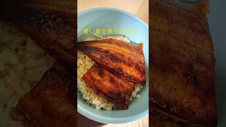 #土用の丑の日 #うなぎ #うな丼 #夏バテ防止