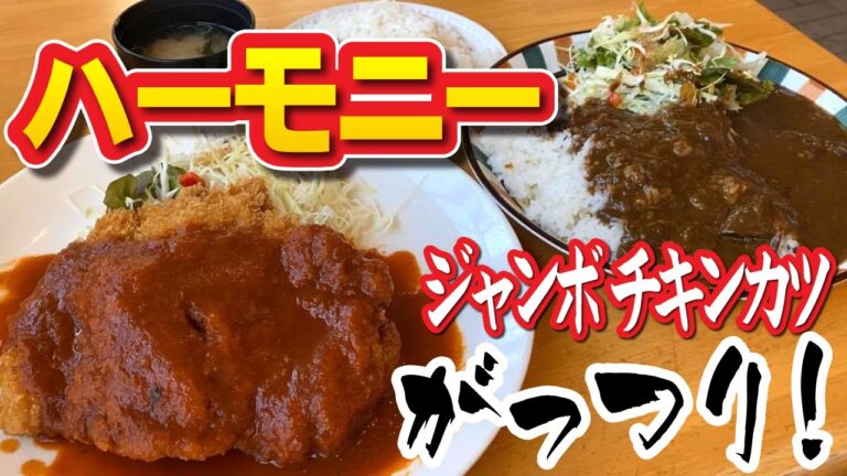 【ジャンボチキンカツ】昔ながらの洋食屋ハーモニーでがっつり
