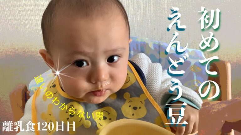 初めてのえんどう豆【離乳食】120日目【生後10ヶ月】