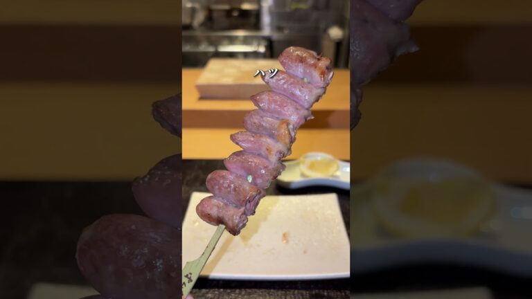 【月島】1度食べたら戻れない！人生で1番飲める焼鳥！