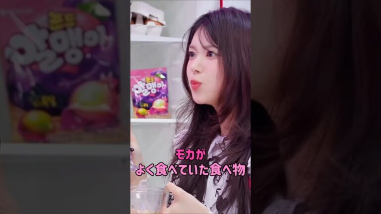 [illit] モカがよく食べていた食べ物