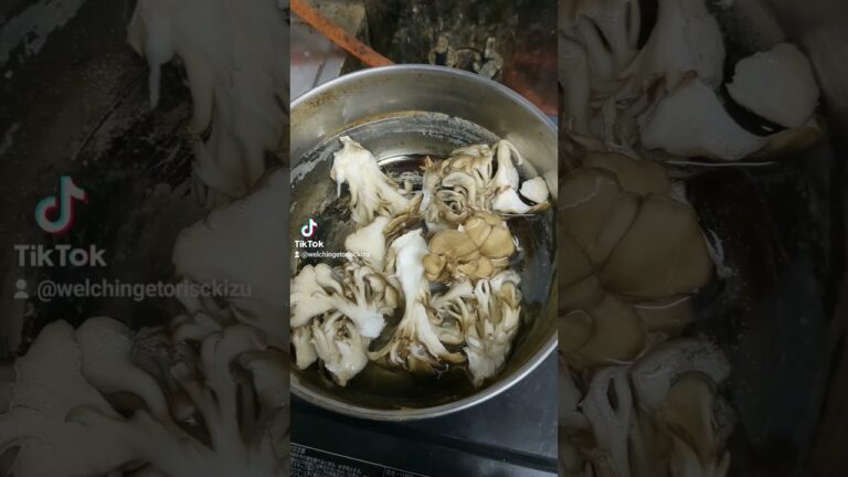 ほうれん草とキノコの味噌汁作りました
