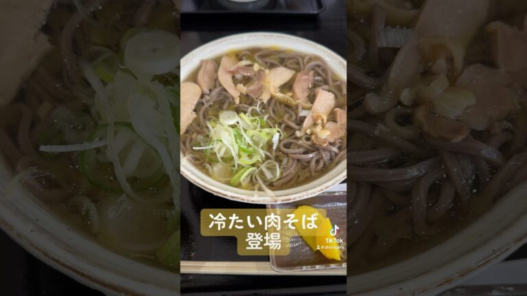 【山形グルメ】『肉そば まると』で冷たい肉そば食べてみた #shorts
