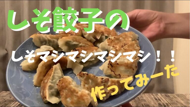 しそ餃子のしそマシマシマシマシマシマシーーーを作って食べてみーた