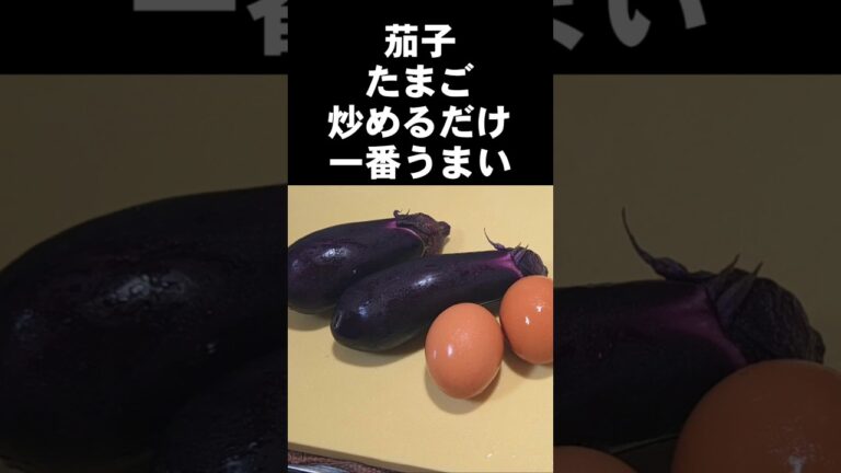 なすと卵の簡単レシピ。炒めるだけ！世界一美味しいおかず おつまみ 副菜 人気料理 ご飯泥棒